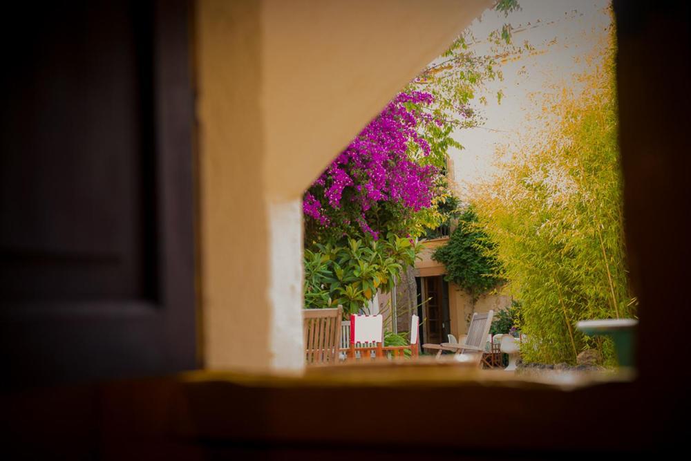 Apartment Fressa In A Manor House With Pool & Garden Alaro