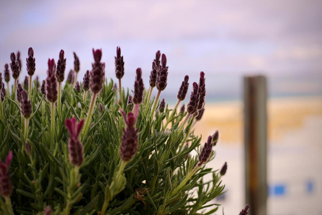 Apartment Cozy House - Penthouse Humero 270º Tarifa