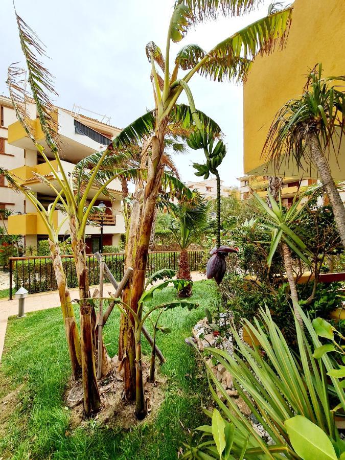 Apartment Punta Prima Modern, 100 M Sea, 2 Swimming-pools, Aircondition, Free Wi-fi Alicante