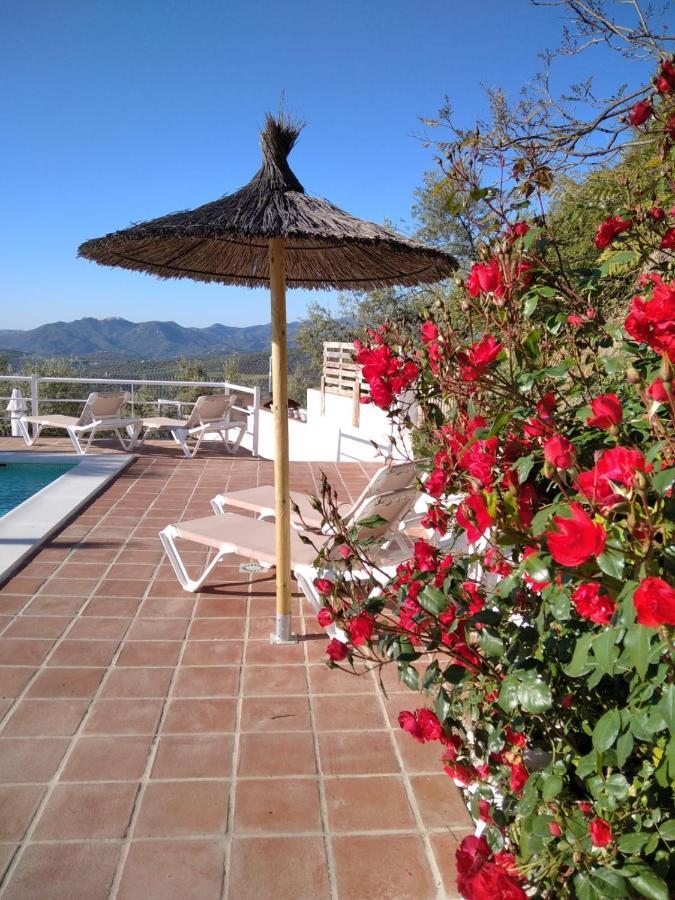 Casa Paz Y Mas