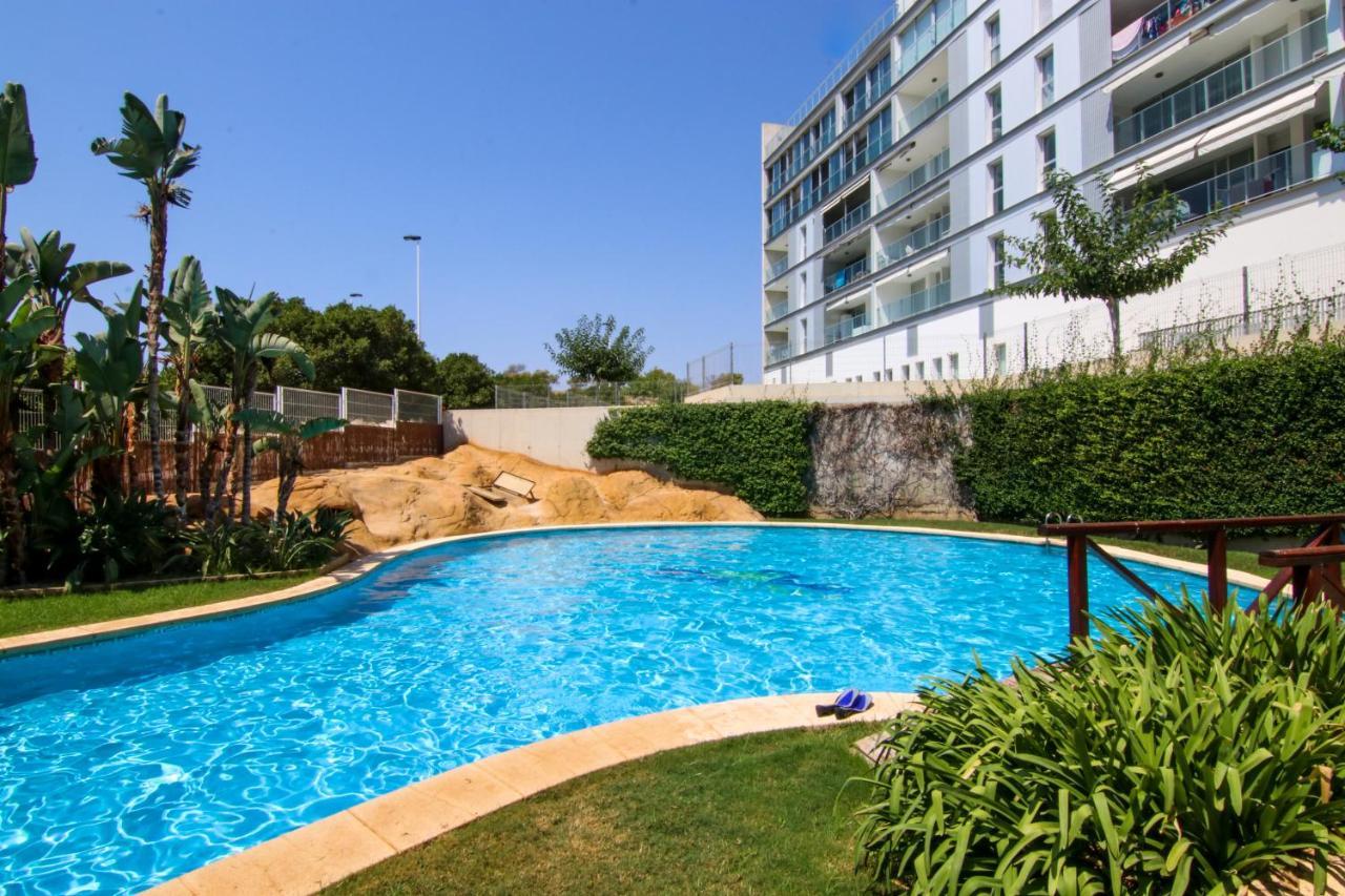 Apartment Premium Class