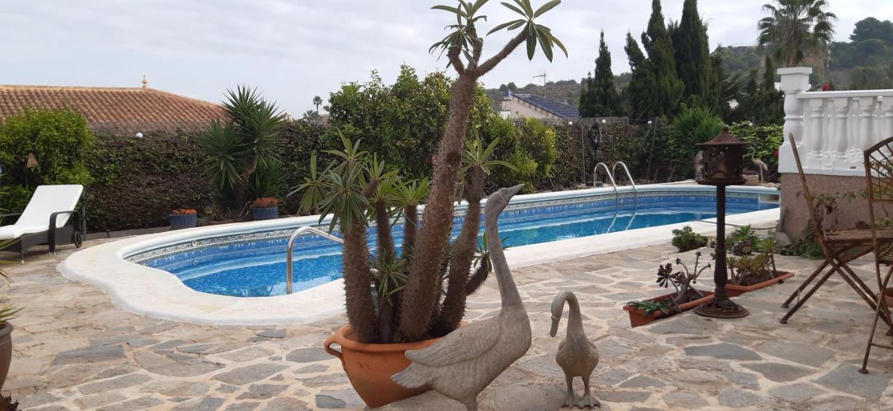 Apartment Estrella