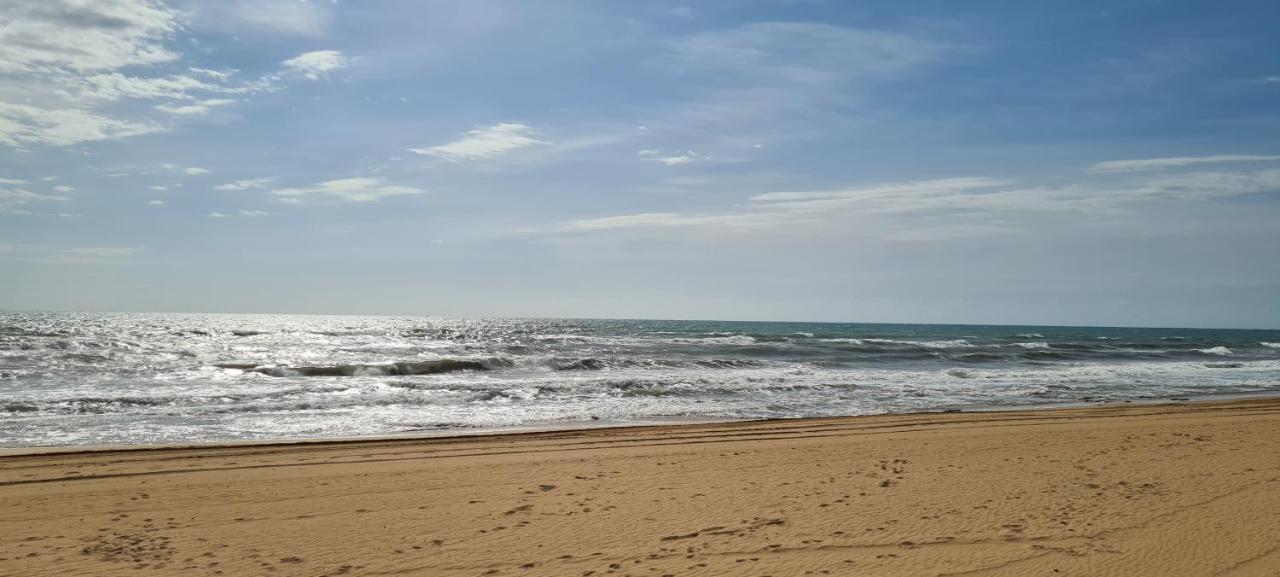 Apartamento Sofia La Mata 2