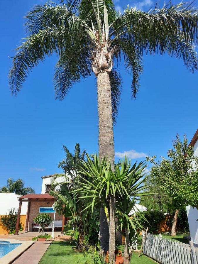 La Huerta Con Piscina Chimenea Y Wifi