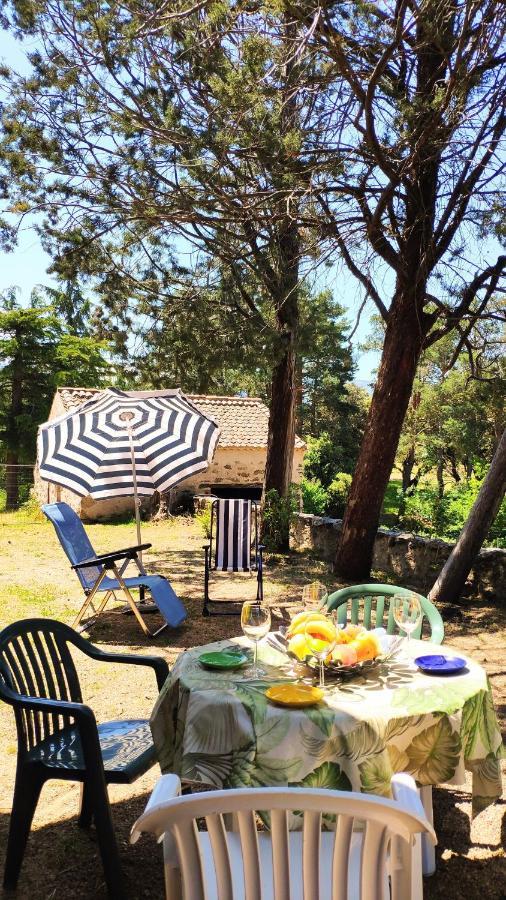 Сasa de vacaciones Casa Rural El Pinar
