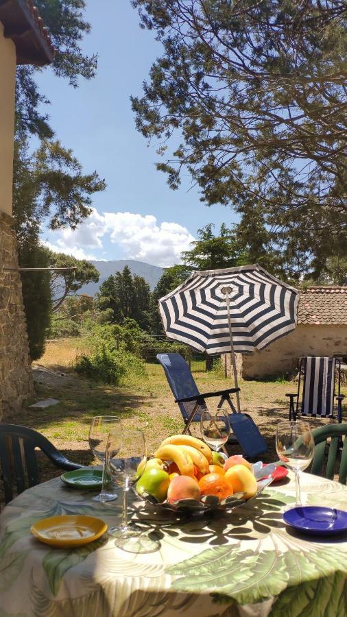 Сasa de vacaciones Casa Rural El Pinar *