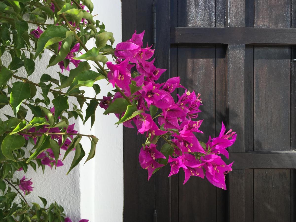 De La Luz Luxury Bed & Breakfast El Portil