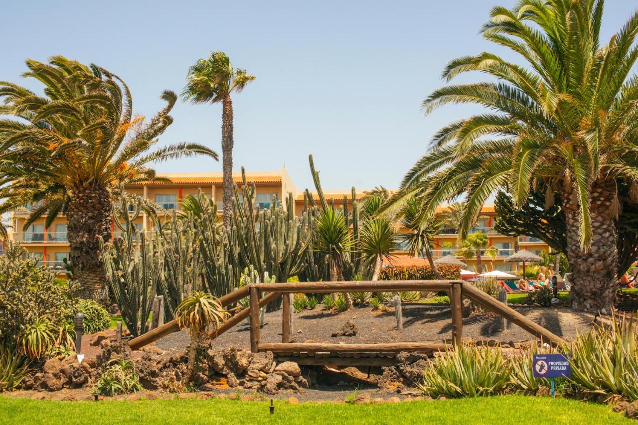 Apartment Inviting 1-bed On Castillo Mar *