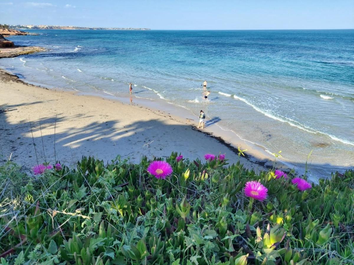 El De Papá - Mil Palmeras Dehesa de Campoamor (Orihuela Costa)