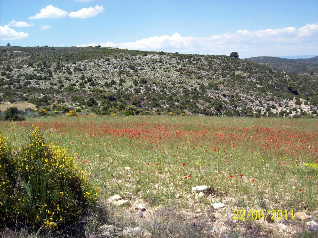 Sol Mediterraneo