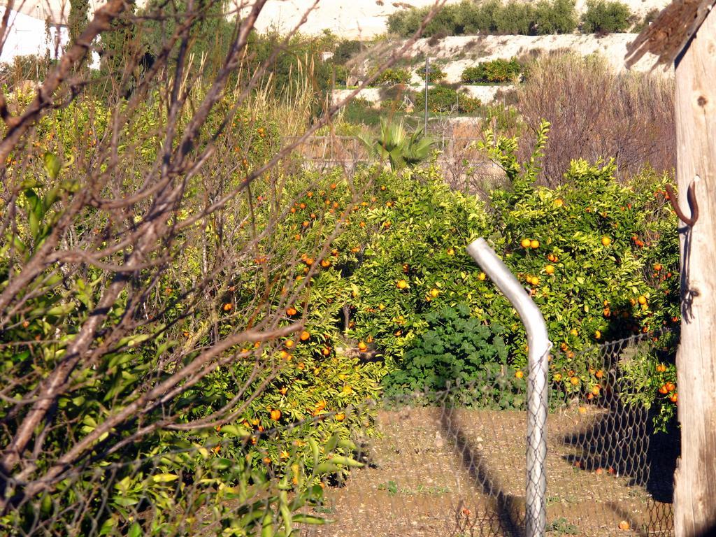 Guest house Sol Mediterraneo