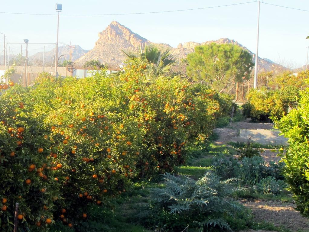 Sol Mediterraneo 2*