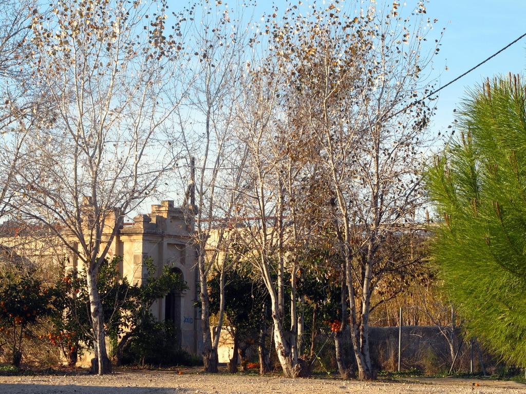 Sol Mediterraneo