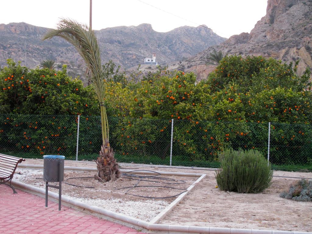 Sol Mediterraneo Guest house Archena