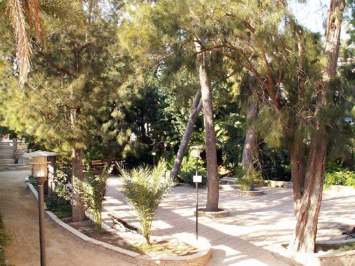 Sol Mediterraneo 2*