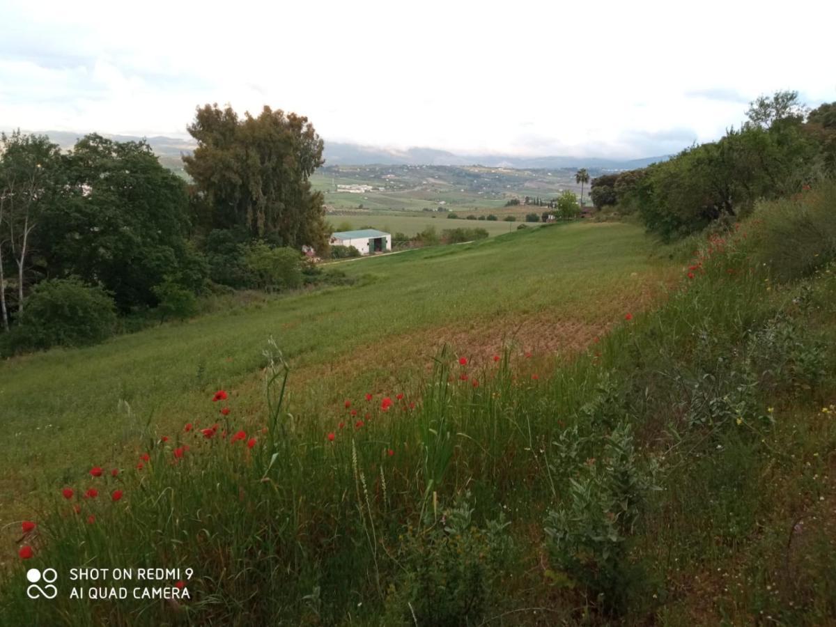 Holiday home Elisabeth Con Piscina Climatizada Chimenea Y Terraza Arriate
