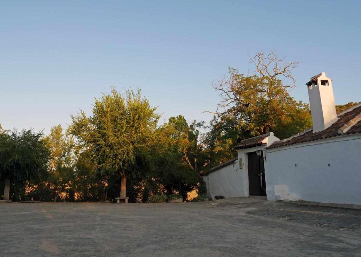 La Gineta Alcalá la Real