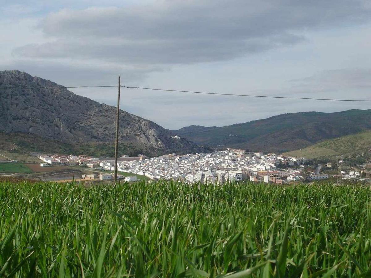 Mirador De La Encina Holiday home *