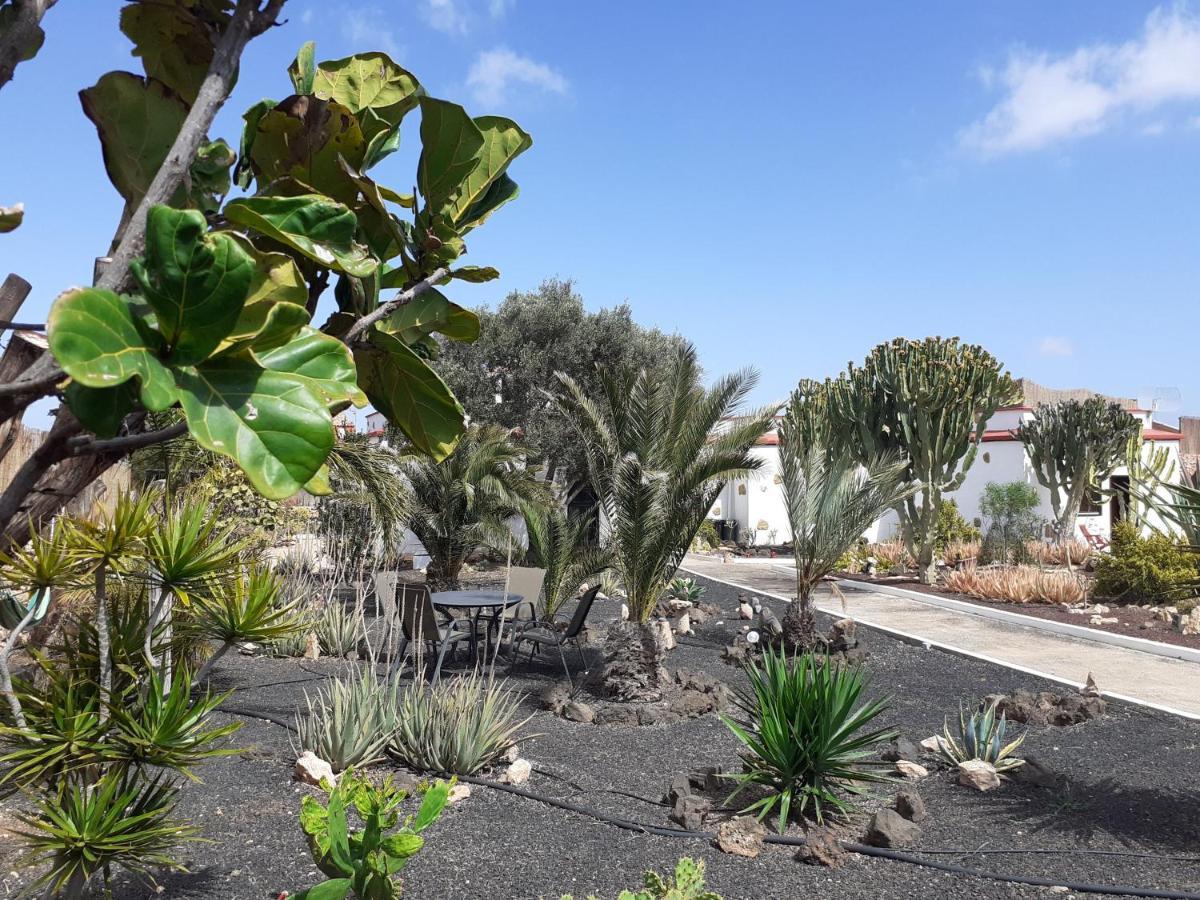 Bed and breakfast Vital Fuerteventura - Atmospheric, Small-scale, Adults Only Antigua (Fuerteventura)