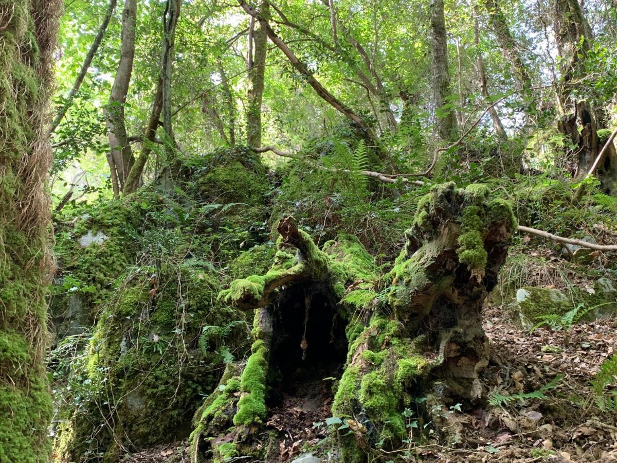 Urresti Casa rural *