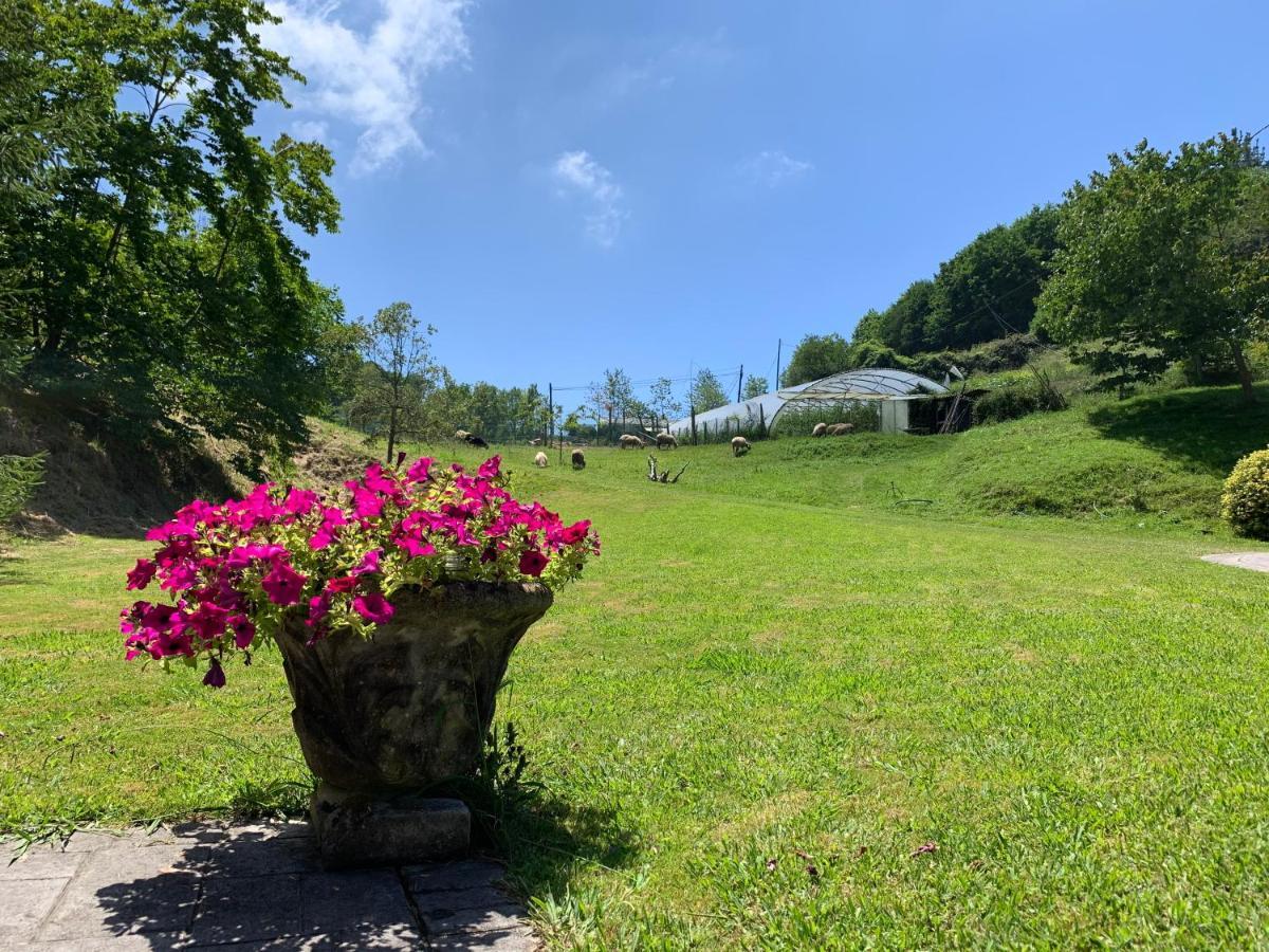 Casa rural Urresti Gautegiz Arteaga