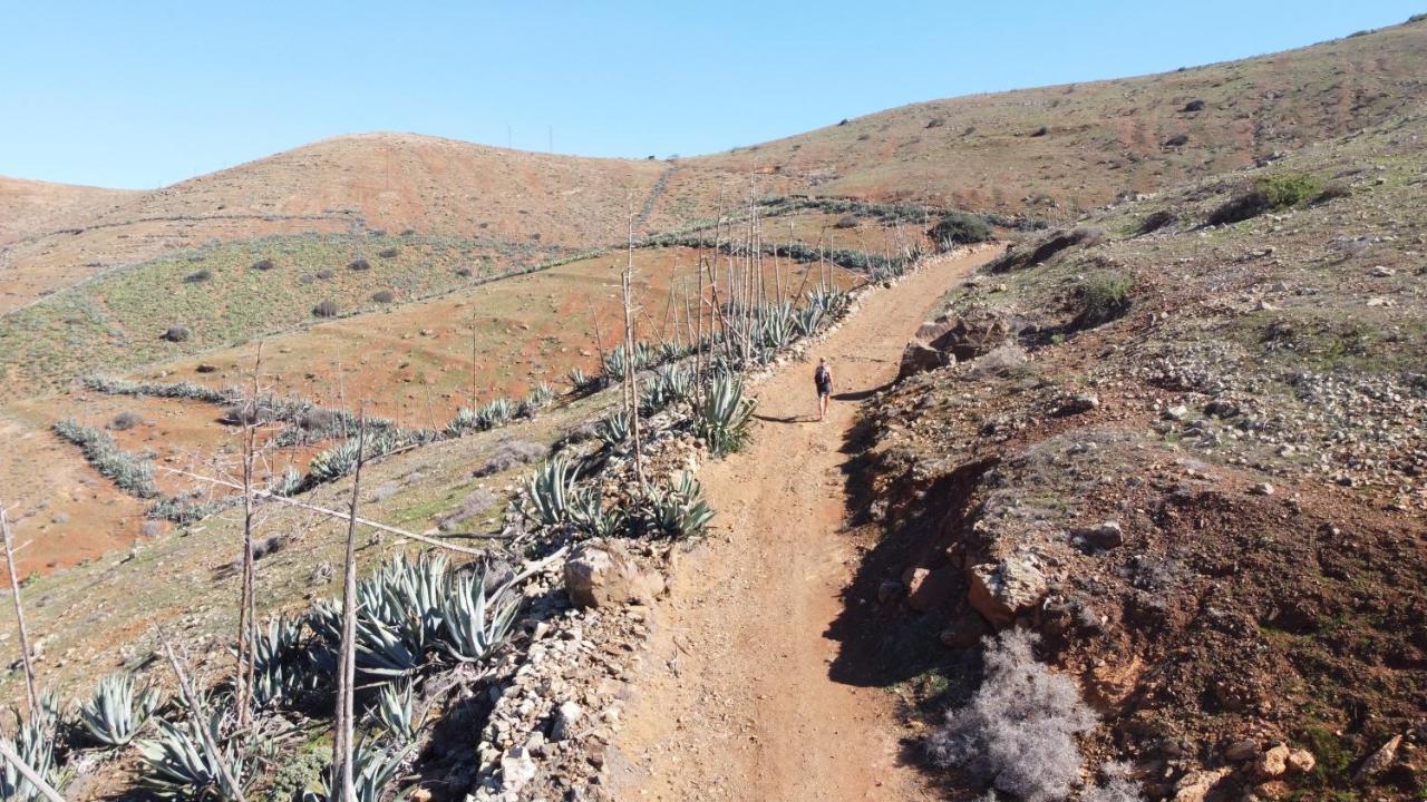 Bed and breakfast Vital Fuerteventura - Atmospheric, Small-scale, Adults Only Antigua (Fuerteventura)