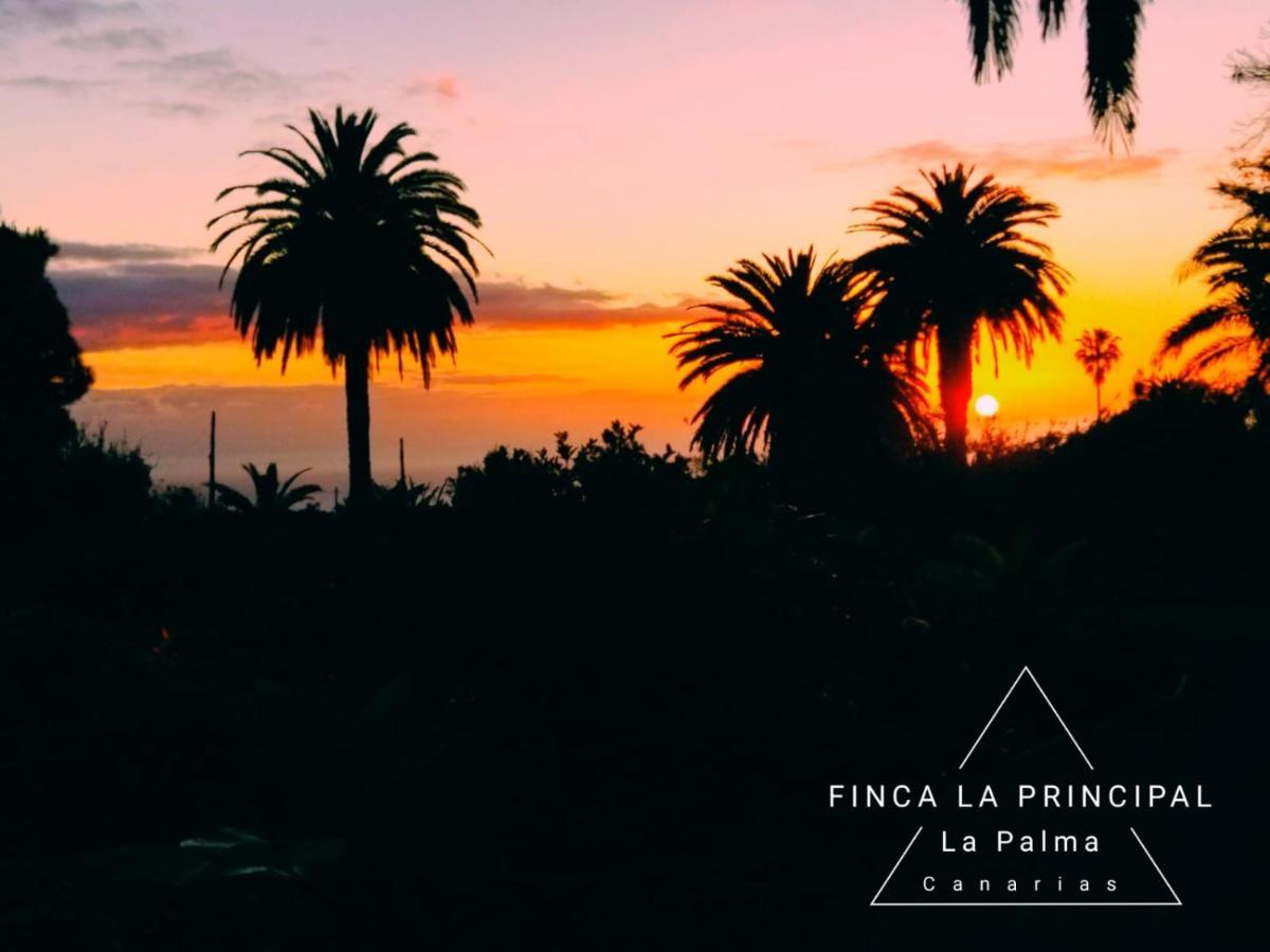 La Principal *