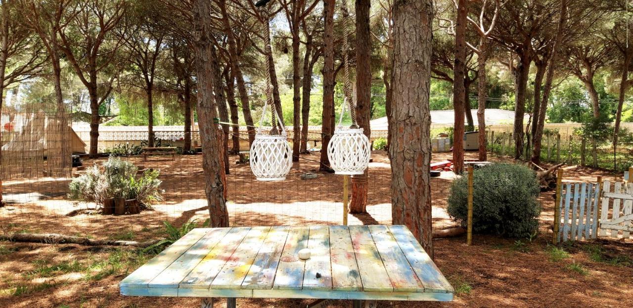 The Pineforest Holiday home Chiclana de la Frontera