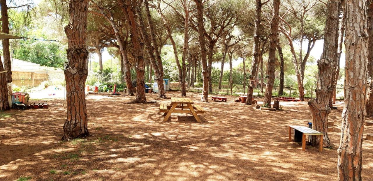 The Pineforest Chiclana de la Frontera
