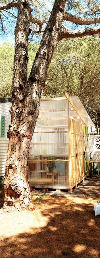 The Pineforest Holiday home
