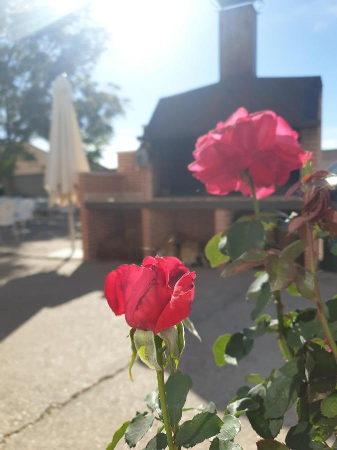 Guest house Hostal La Horra