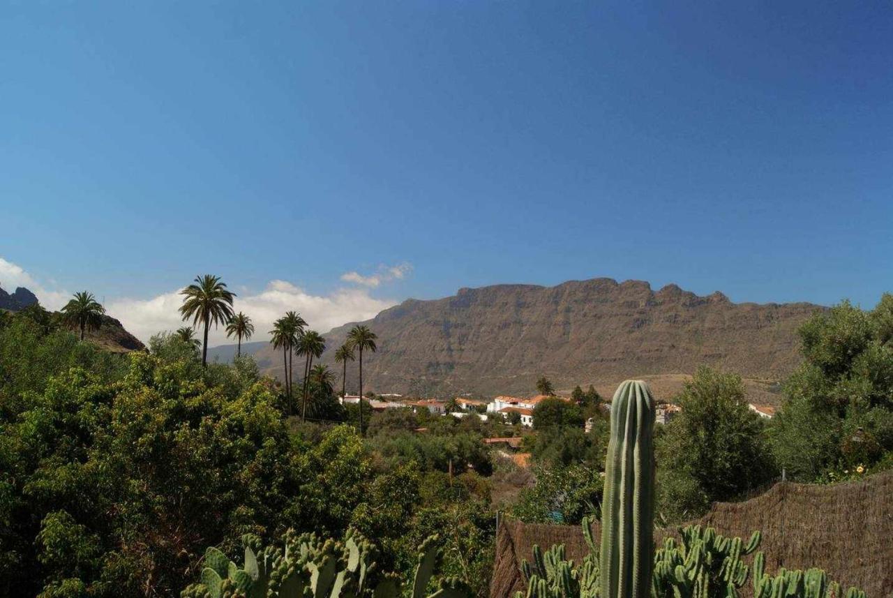 Country house El Olivar La Oliva *