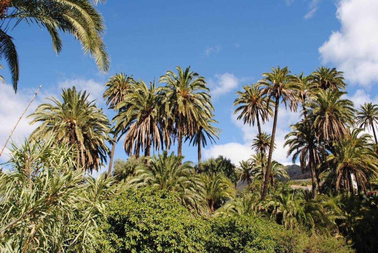 Casa rural El Palmeral Del Valle Santa Lucía