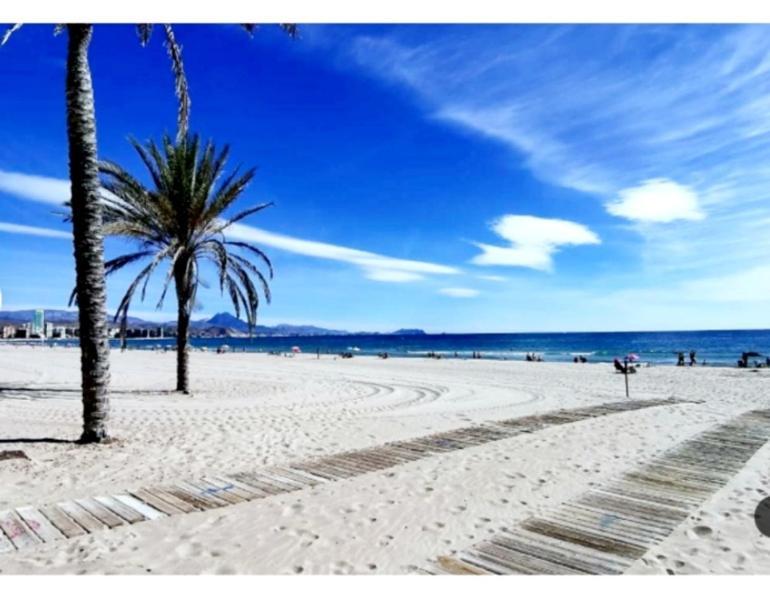 Sunny Duplex In Front Of Campello El Campello