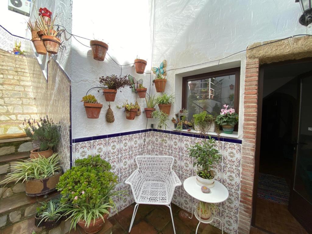 Apartamento Buddhaloungeapartments 3 Buddhaloungeapartments #3 Primera Planta
