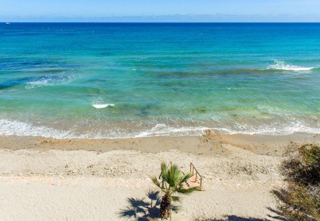 Eleonor, La Entrada, Punta Prima, Torrevieja