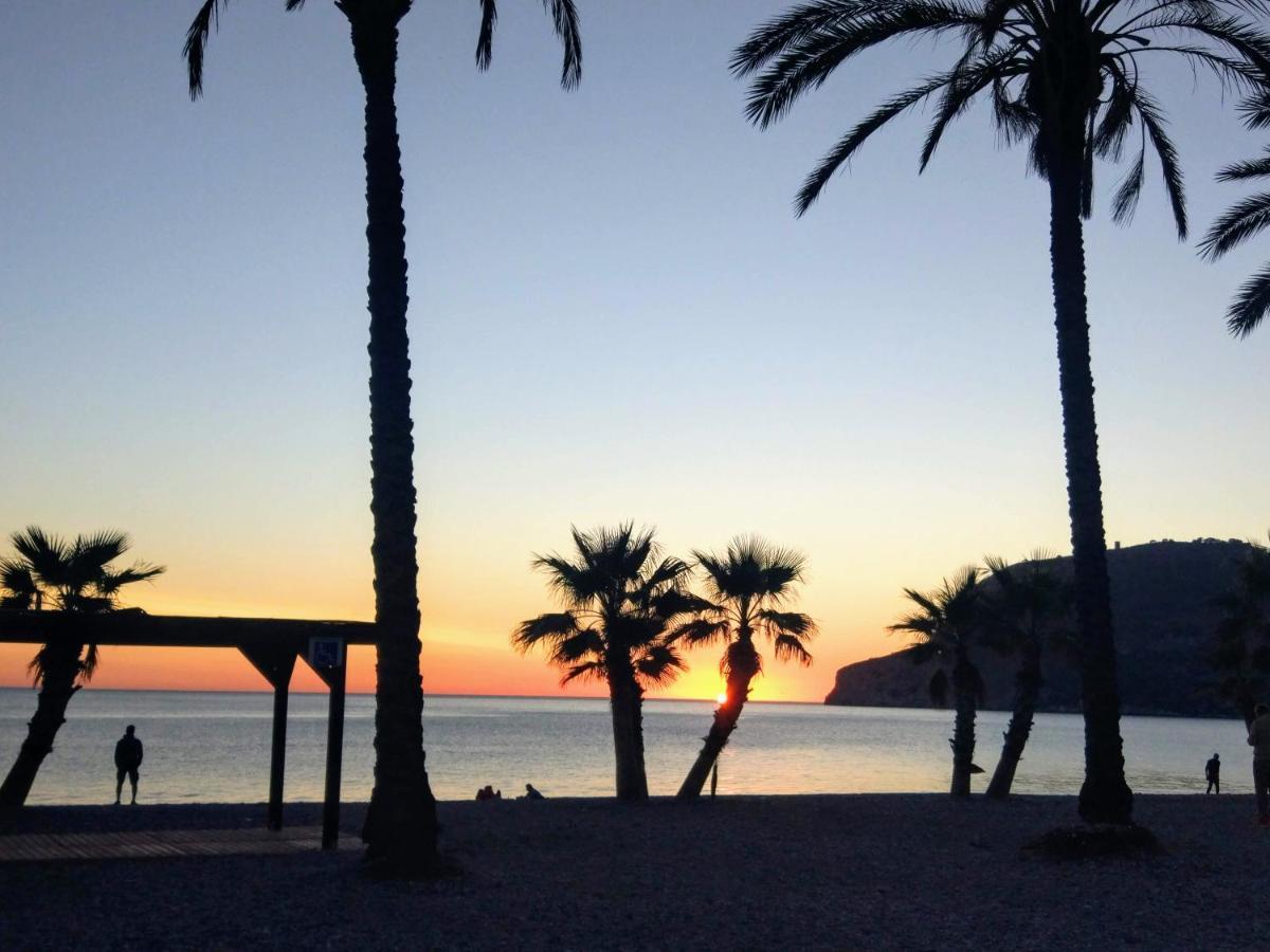 Oasis La Herradura