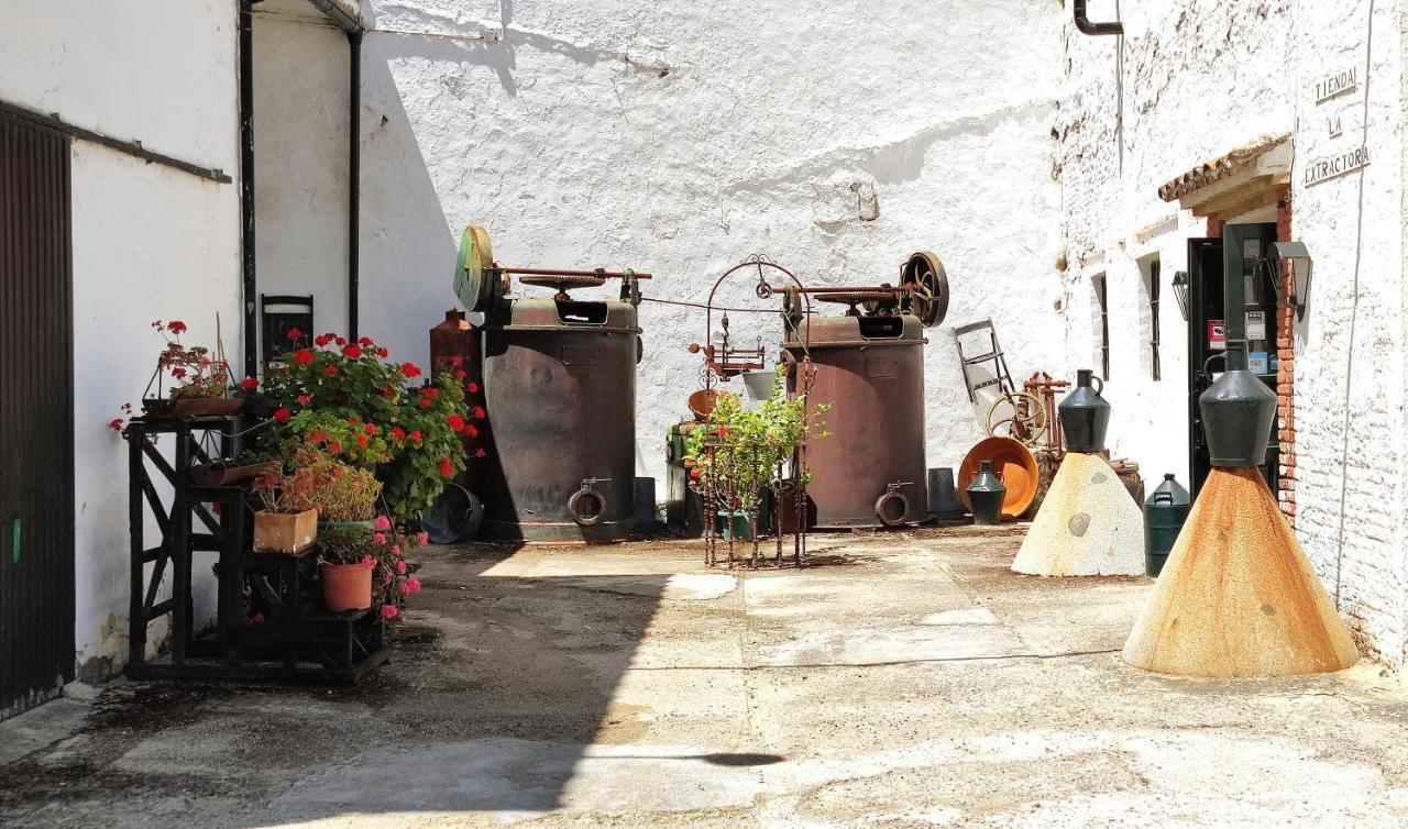 Molino El Vinculo Zahara De La Sierra