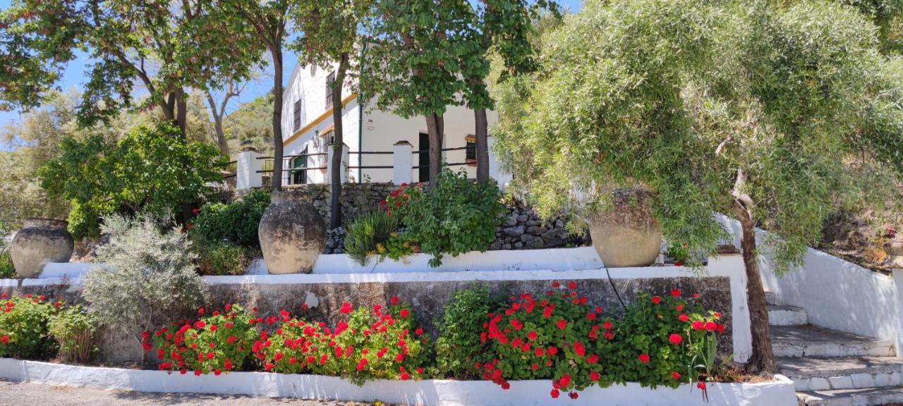 Molino El Vinculo Country house