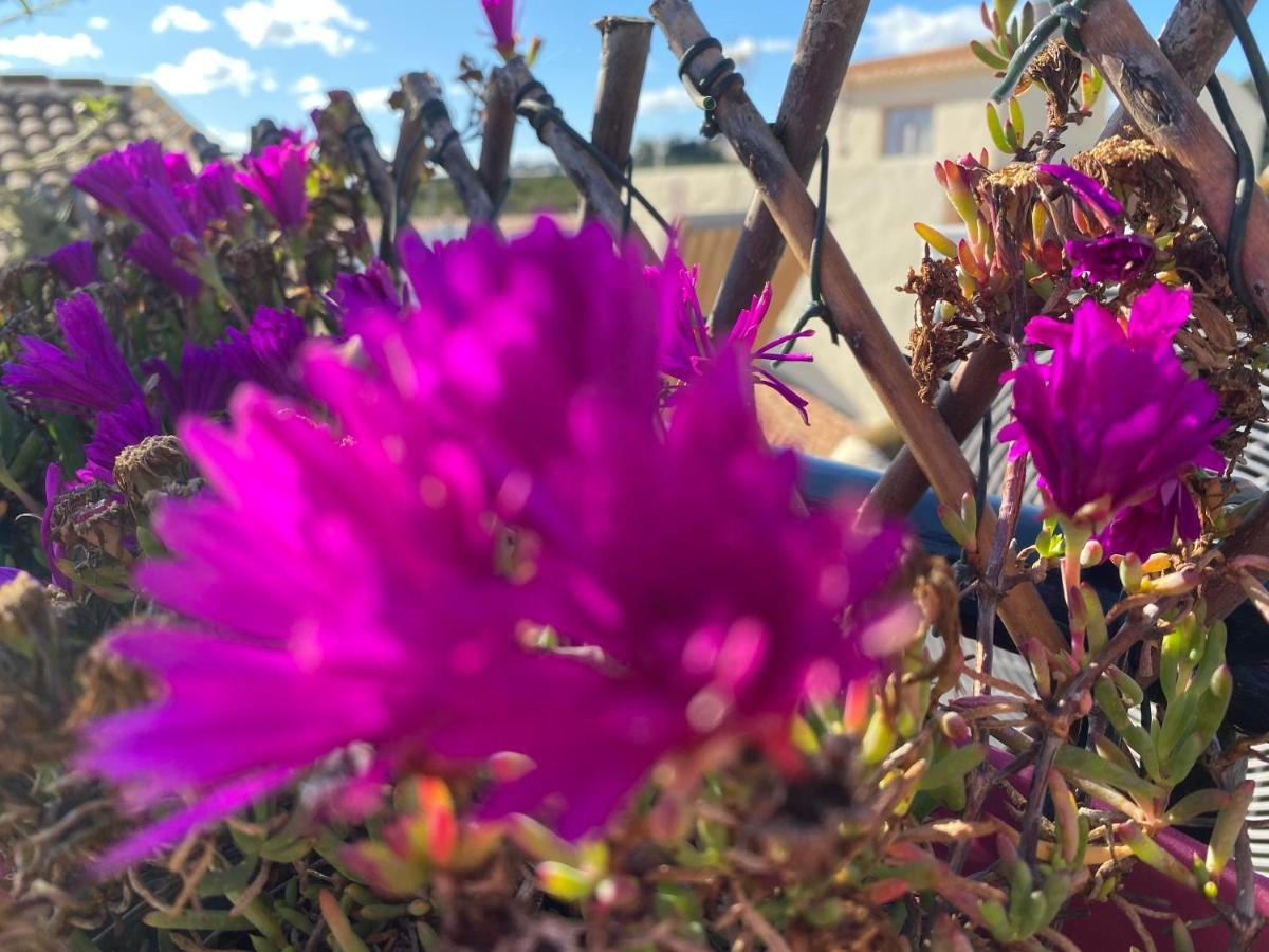 Sol Mediterraneo *