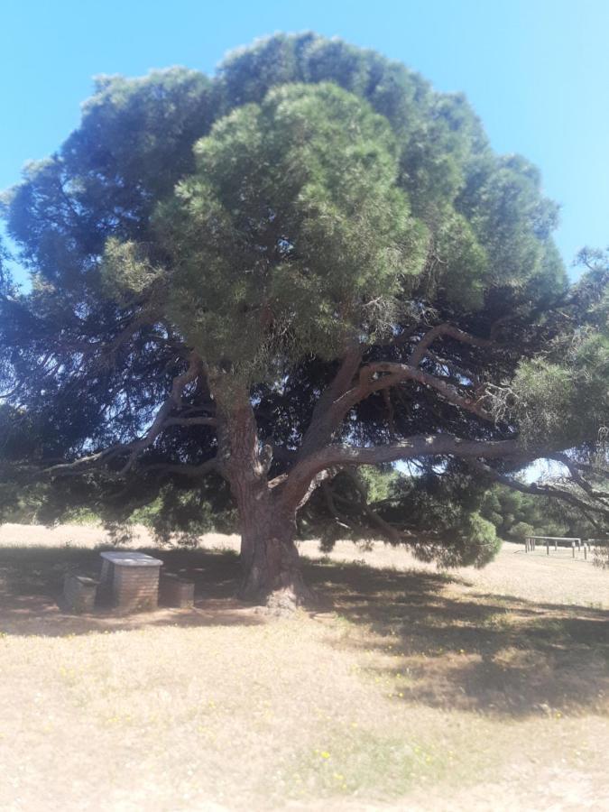 Apartamento Naturaleza Virgen