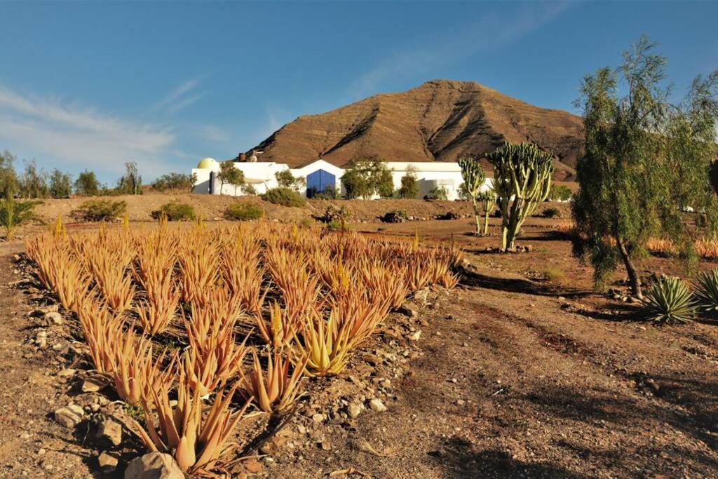 Casa Alegría Aire - Eco Retreat Artis Tirma Tarajalejo
