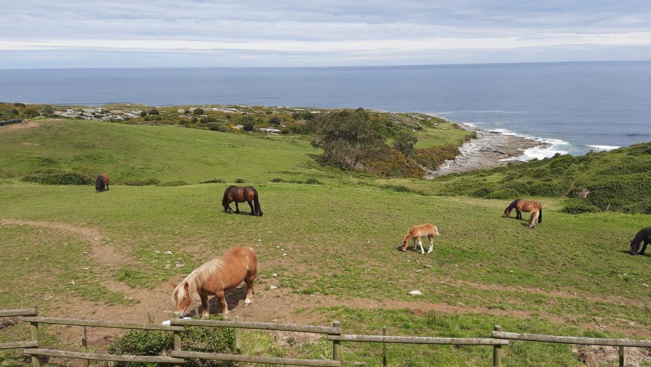 Pensión Punta Liñera San Vicente De La Barquera