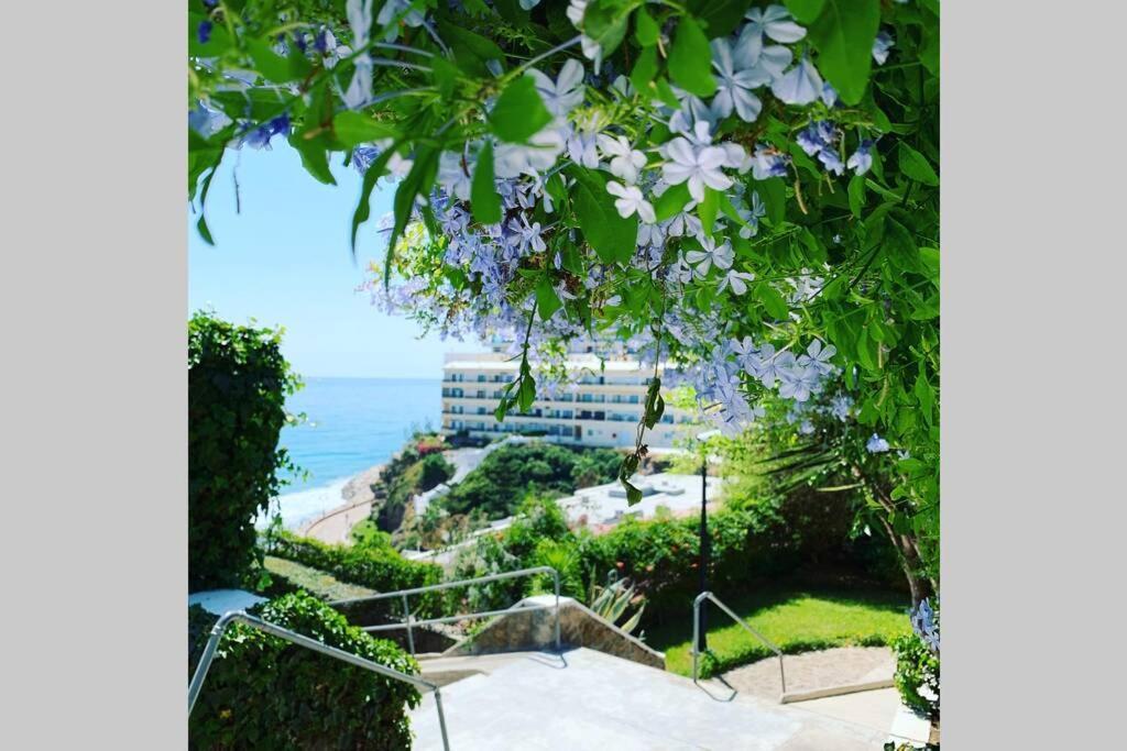 Amazing Frontline Sea Views Castillo Del Vigia Apartamento *