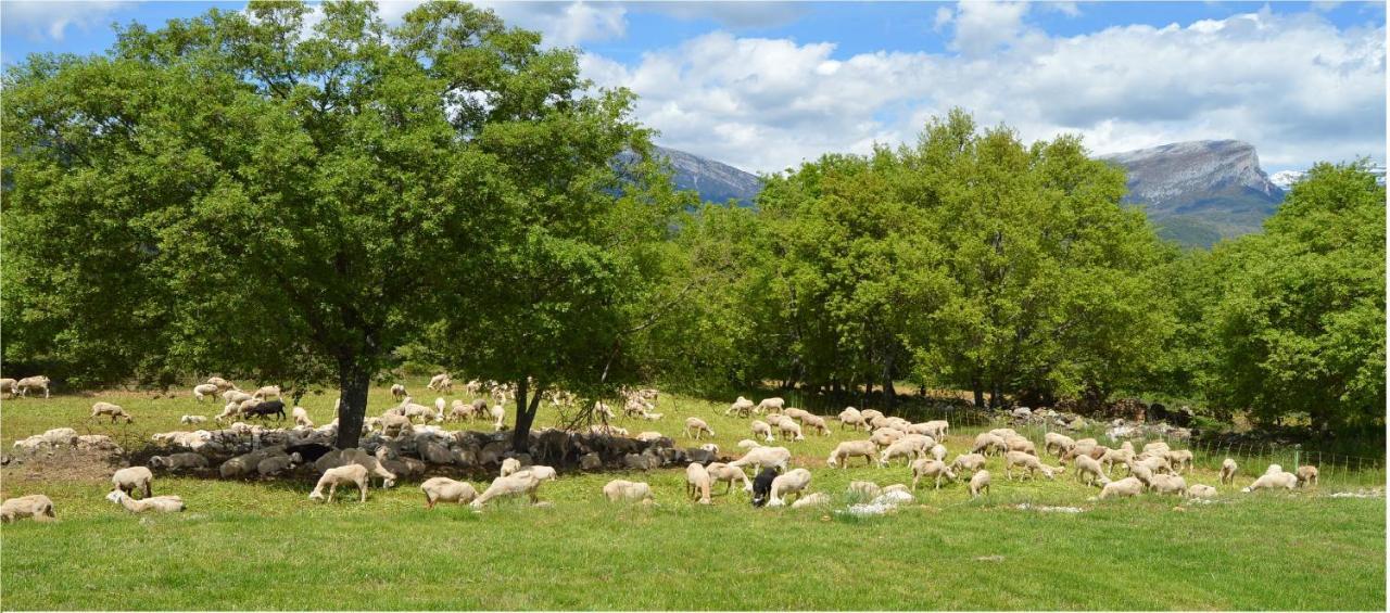 Apartamento EL PANAR-ORDESA -LASPUÑA Laspuña