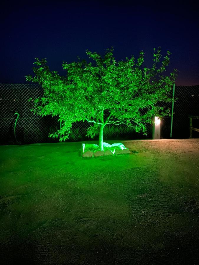 Rural Setenil *