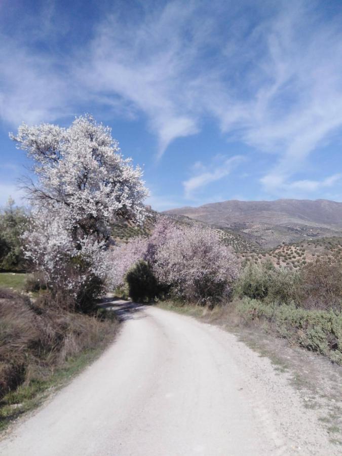El Convento Vivienda Rural Jaen Andalucia Espana * Carchelejo