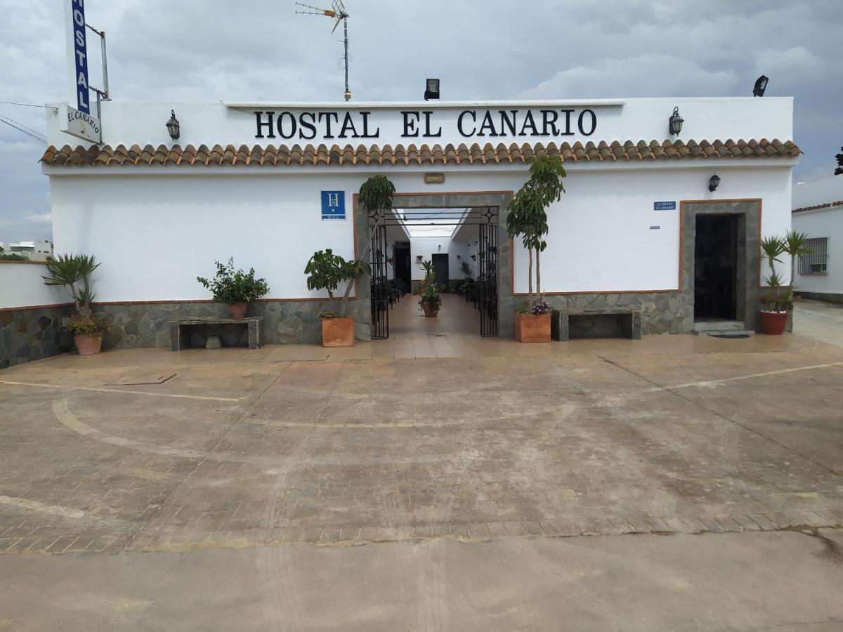 El Canario Conil De La Frontera