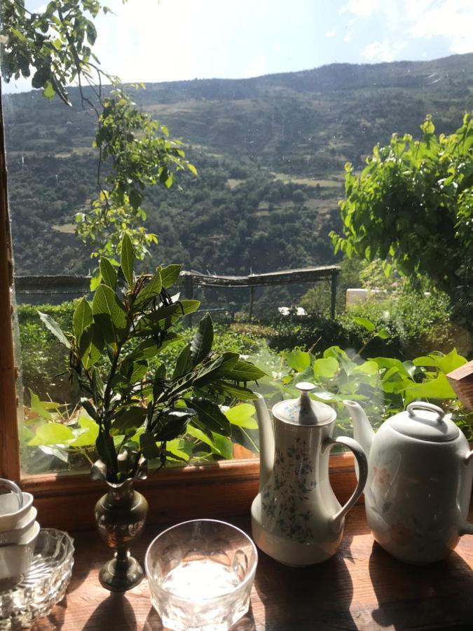 Cortijo En Casa Ibero Slow Turistico Rural Vtar Gr 00516/ 00555 Bubión