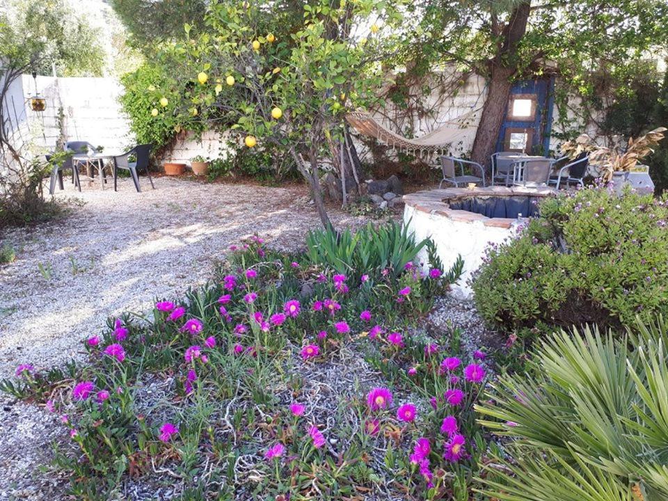 Los Barrancos Bed & Breakfast